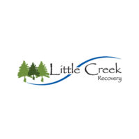 LOGO 500x500_little creek recovery.jpg